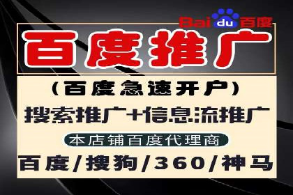 某电商平台的成功信息流代运营策略